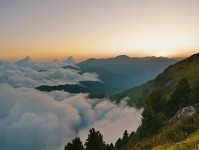 微密圈两步读法：先抓传播链是不是断裂，再把导语拆成两句（像做读图小手势）